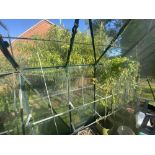 A 10ft x 8ft, aluminium greenhouse. Needs to be dismantled. Collect Only.