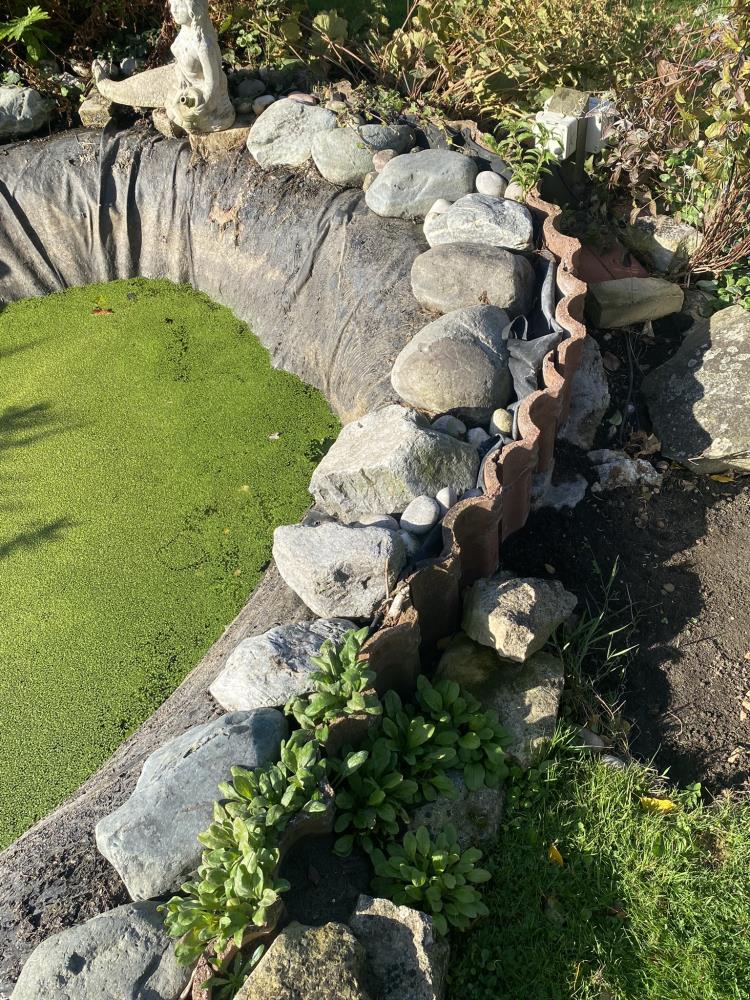 Approx 30 large Welsh stones. (surrounding first pond). Collect Only. - Bild 4 aus 5