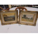 A pair of gilt framed oil on board rural scenes signed Gary Rayner, 28 x 21 cm.