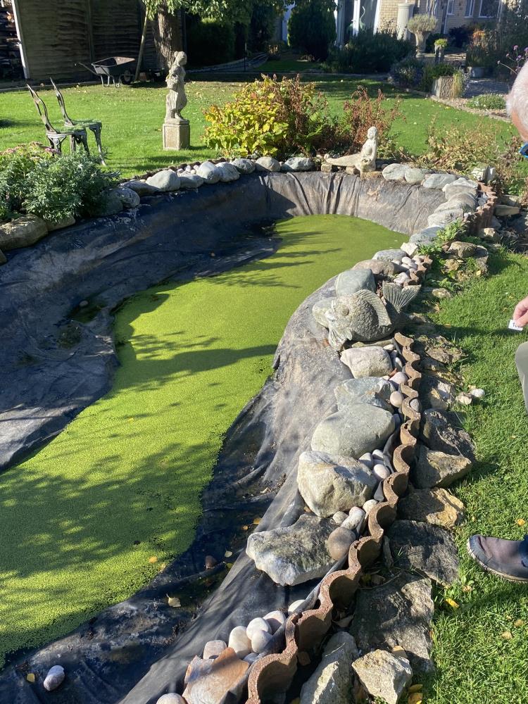 Approx 30 large Welsh stones. (surrounding first pond). Collect Only.