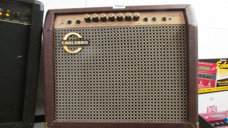 A 30 watt Carlsboro 'Sherwood Acoustic' combo amp in soft case.