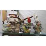 A mixed lot of bird ornaments including Beswick Eagle, Crown Derby etc.,