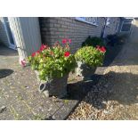 2 Concrete teapot planters. Collect Only.