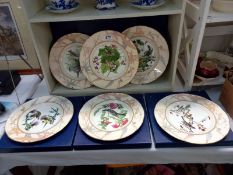 6 Royal Worcester bird plates