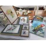 2 bird books, 5 bird pictures and a set of bird decorated table mats.