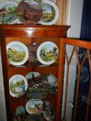 Fourteen Royal Worcester collector's plates.