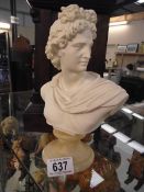 An Italian alabaster bust of Apollo on marble base by A. Giannelli height 23cm