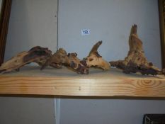 3 Pieces of ornamental driftwood.