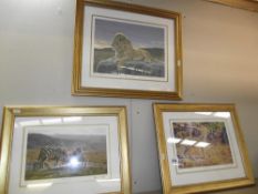 3 fabulous limited edition gilt framed prints of Lions, Cheetah and Zebra by Stephen Garford