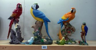 3 fabulous parrot figures plus small one which is a/f and 2 budgies