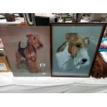 2 vintage prints of a Terrier dog by Brian Hupfield, glass A/F