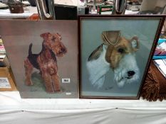 2 vintage prints of a Terrier dog by Brian Hupfield, glass A/F