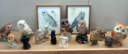 A collection of owl figures including Poole, Beswick one is a/f, plus 2 pictures and 2 other birds
