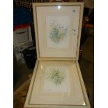 A pair of floral prints signed Ann Lester. COLLECT ONLY