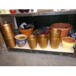A shelf of plant pots