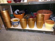 A shelf of plant pots