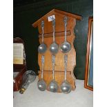 Six collector's spoon on a wall rack.