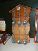 Six collector's spoon on a wall rack.
