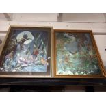 A pair of reflective (foil) pictures of fairies, 50 x 60cm and 45 x 55 cm.