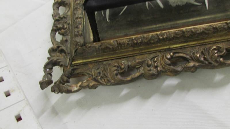 A 19th century floral display in gilt framed glass case, frame a/f. COLLECT ONLY. - Image 5 of 5