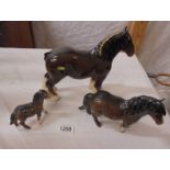 A Beswick shire horse, Beswick Shetland pony and a Beswick foal with chip on ear.
