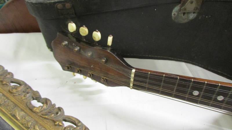 An old cased mandolin. - Image 3 of 6