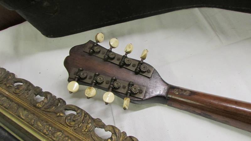 An old cased mandolin. - Image 5 of 6