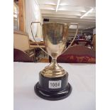 A 1933 silver Lincoln Tippler Society Young Bird Championship cup, 17.25 cm tall, 180 grams.