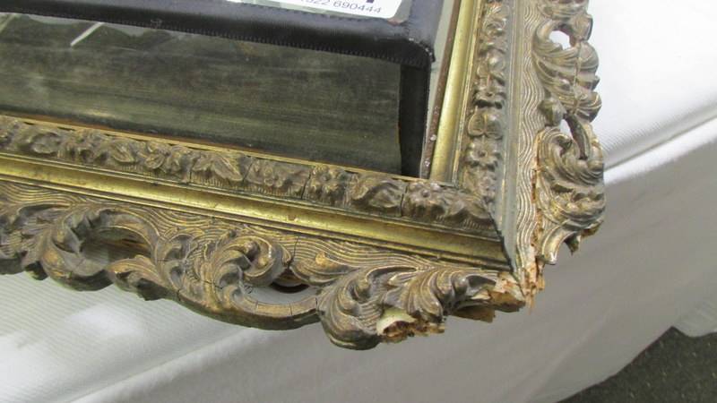 A 19th century floral display in gilt framed glass case, frame a/f. COLLECT ONLY. - Image 4 of 5