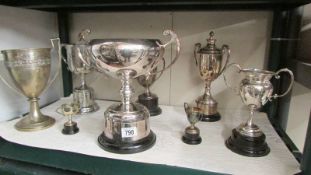 Six large trophies and two smaller examples.
