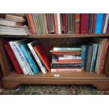 A shelf of miscellaneous books