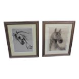 Two charcoal drawings of Horses.