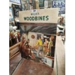 Wild Woodbine cigarettes pictorial celluloid advertising sign