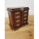Early 20th C. oak collector's cabinet.
