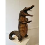 19th C. taxidermy crocodile.