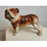 Cast iron model of English Bulldog.