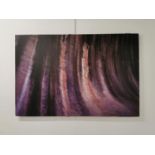 Wave Rock - Photography - Daragh Muldowney