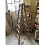 Selection of A frame and extendable ladders