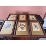 Set of six framed watercolours of birds, signed Bernie.