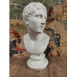 19th. C. plaster bust of a Roman gentleman { 57cm H X 30cm W X 26cm D }.