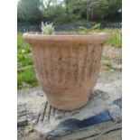 Terracotta planter { 36cm H X 38cm Dia }.