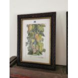 Three framed coloured prints Fruits - Melons, Cucumber and Hops { 43cm H X 32cm W }.