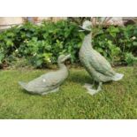 Two exceptional quality bronze ducks {42 cm H x 15 cm W x 30 cm D and 22 cm H x 15 cm W x 37 cm D}.