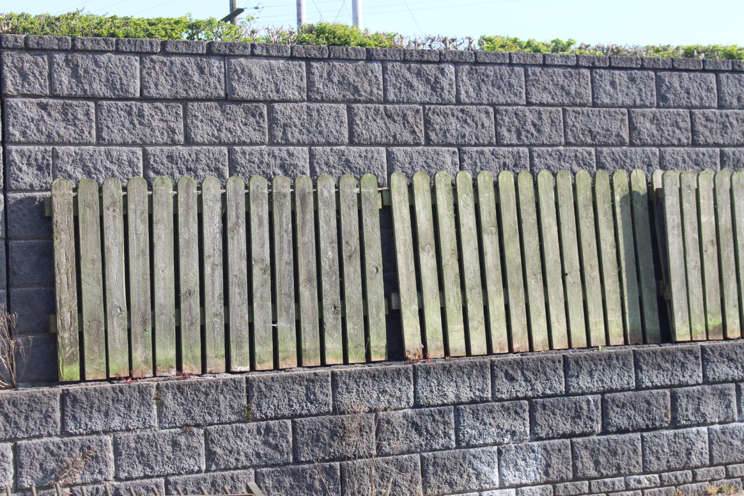 Collection of wooden picket fencing with two gates. {100 cm H x 31.7 Metres W x 5 cm D}.