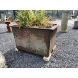 Wrought iron rectangular planter {60 cm H x 100 cm W x 70 cm D}.