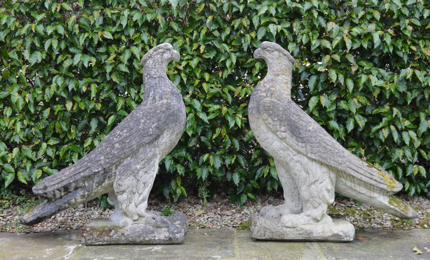 Pair of large stone Estate entrance Eagles. {98 cm H x 90 cm W x 30 cm D}.