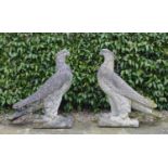 Pair of large stone Estate entrance Eagles. {98 cm H x 90 cm W x 30 cm D}.