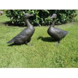 Two exceptional quality bronze models of Ducks.