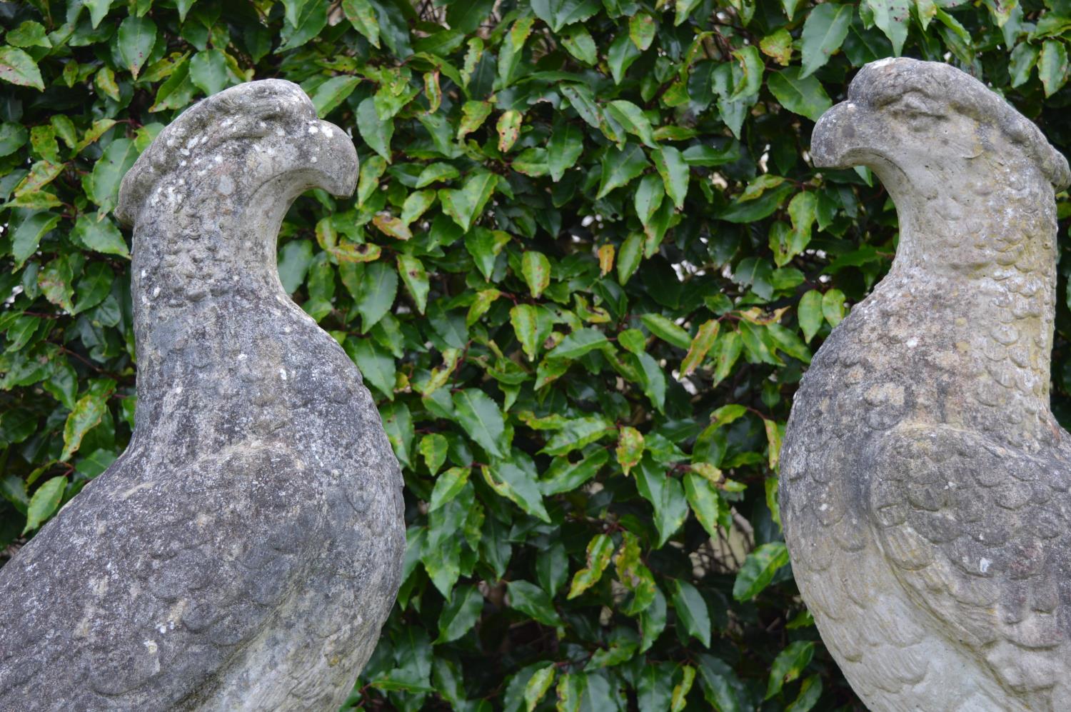 Pair of large stone Estate entrance Eagles. {98 cm H x 90 cm W x 30 cm D}. - Bild 2 aus 3