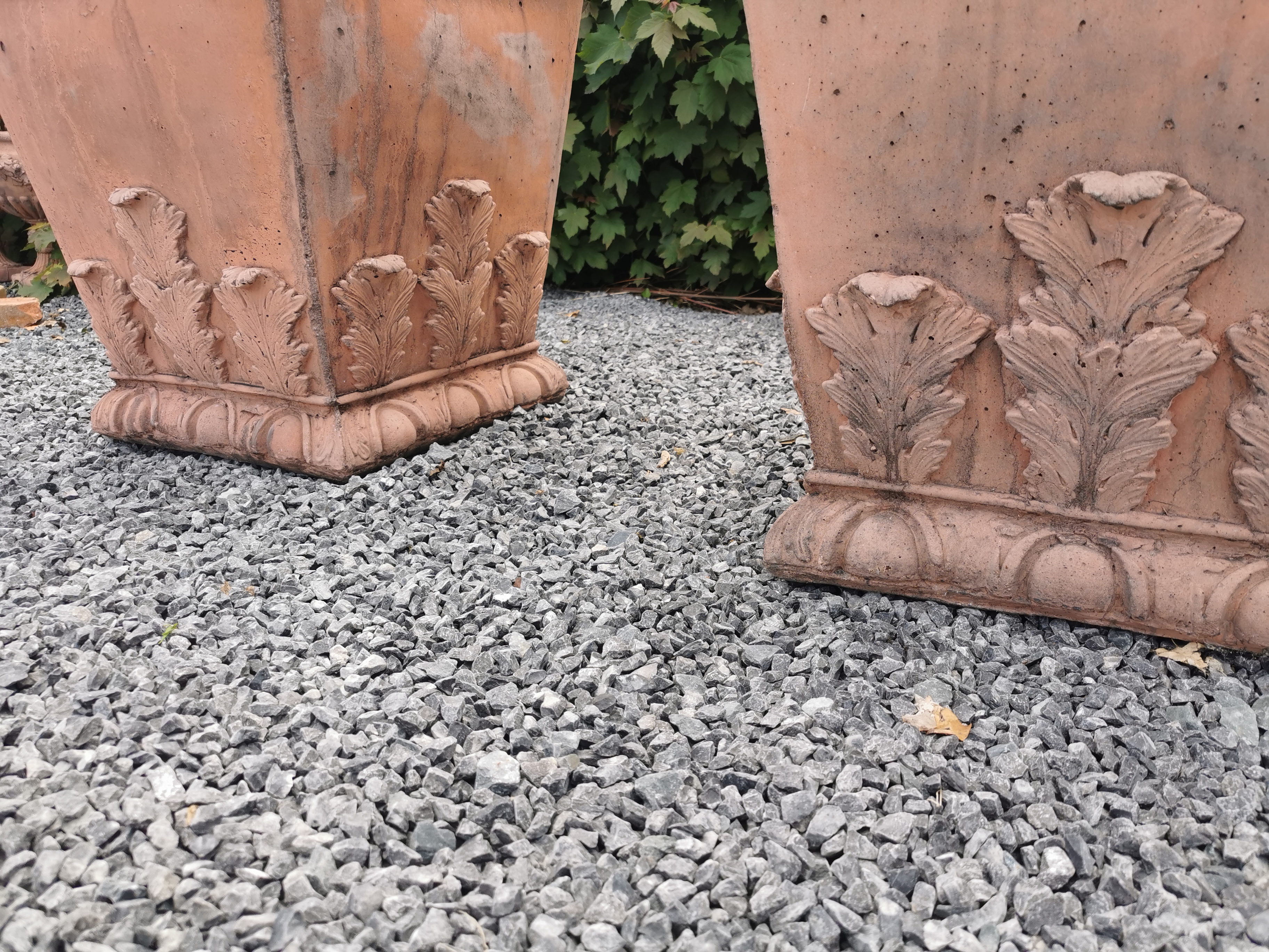 Pair of square terracotta planters decorated with acanthus leaf including boxwood bush - Bild 3 aus 6